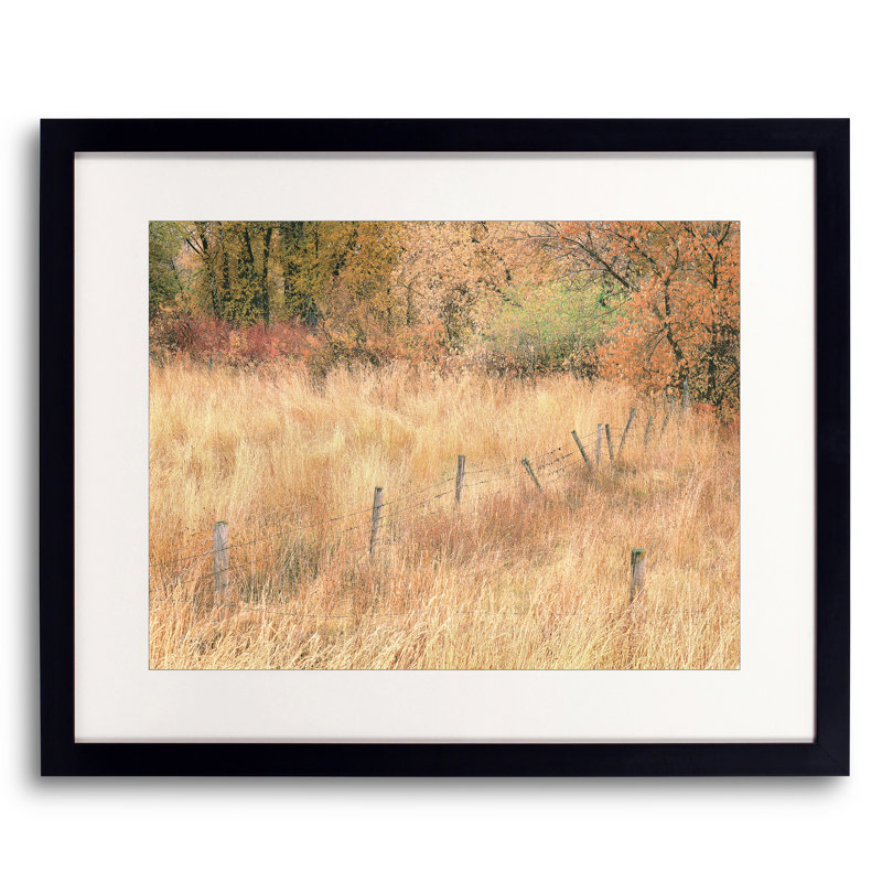 Swan Valley Autumn Portrait #7 Print by Bruce Heinemann, Black Framed Paper, 25.25" H x 31.25" W x 0.88" D, White