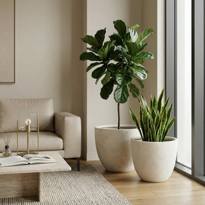 Ensemble de 2 pots à fleurs ronds en béton pour l'extérieur