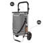 Anotidashe 50kg Hand Truck Trolley-853927173
