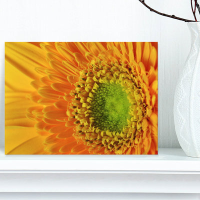 " Yellow Daisy Gerbera Flower Close-up "