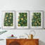 Ensemble de 3 tiroirs personnalisés de la série DMCXLII de William Morris-572451461-572451512