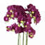 Real Touch Artificial Orchids Plastic, Silk Artificial Arrangement in Planter-88685031