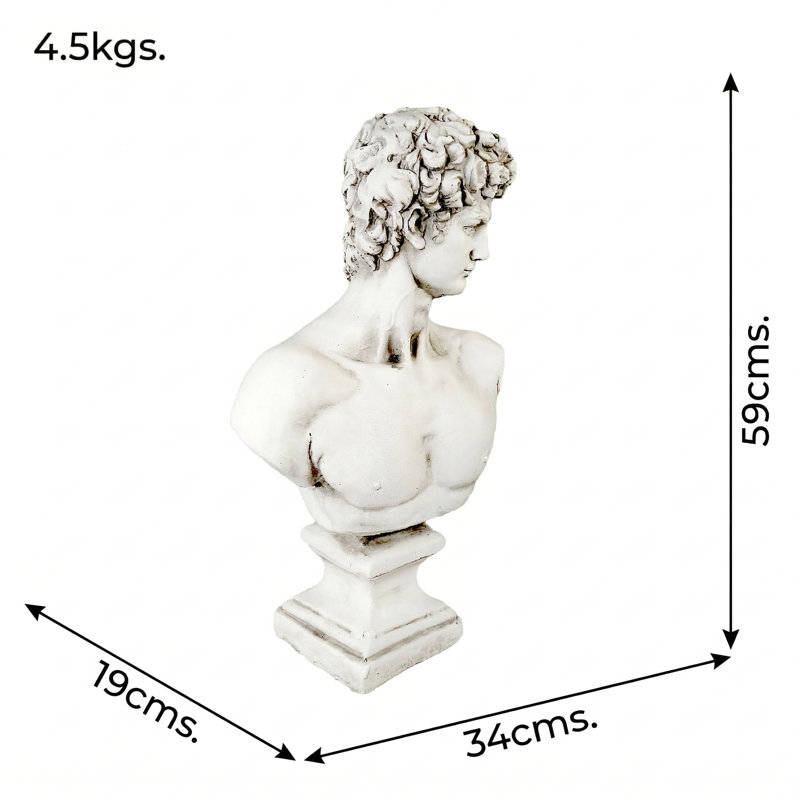 David Weather Resistant Fiberstone Garden Statue