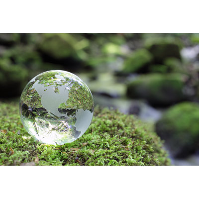 " Globe In The Forest " by Brianajackson