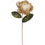 Jeweled Magnolia Stem, Large - 24 Inches Set Of 12