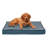 Orthopedic Polyester Pet Bed-1815721497-1815721494
