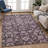 Machine Washable Indoor/Outdoor Francky ACN2358 Traditional Rug-252678752