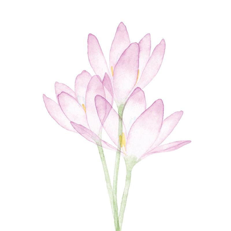 Watercolor Three Pink Flowers by Saemilee - Print, 76cm H x 76cm W