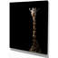 «Giraffe Hiding in the Dark», impression sur toile tendue-29496832