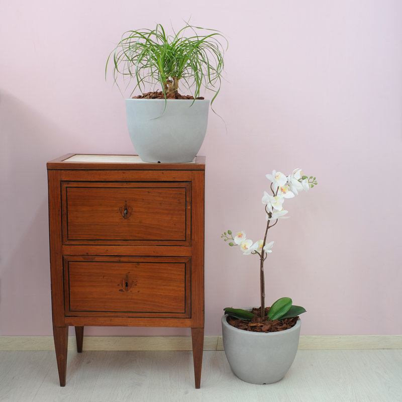 Grifaldo Pot Planter, Aged Stone, 22cm H x 30cm W x 30cm D