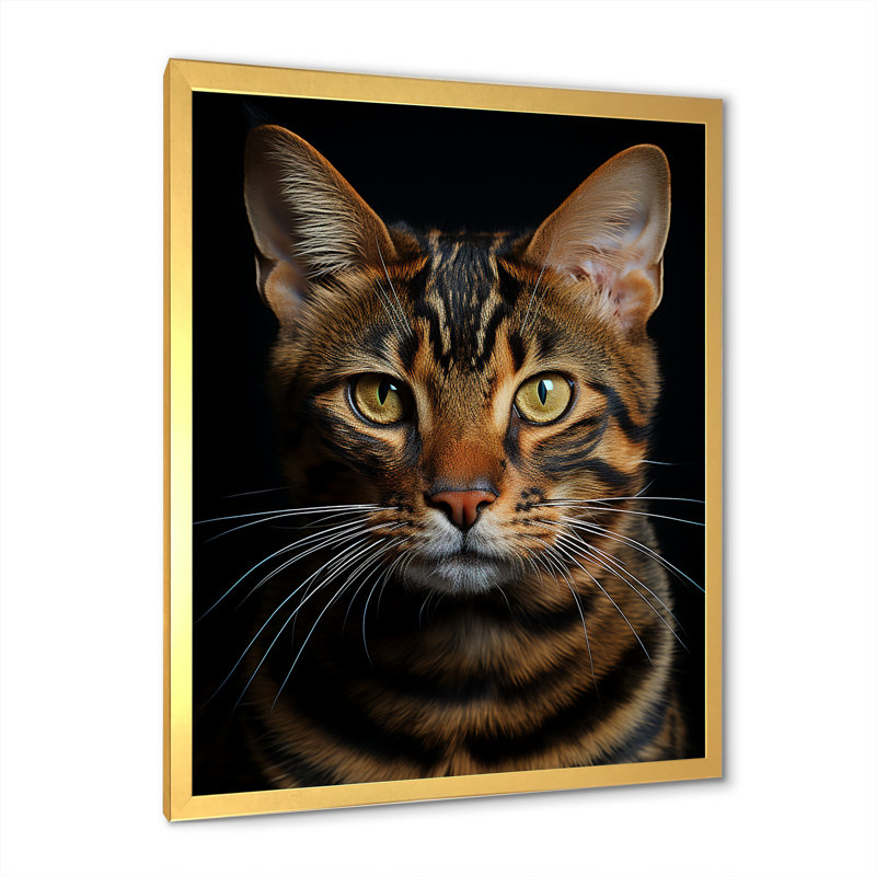Chat, tigre, portrait de chat, Cadre doré simple, H 40 po x l 30 po x P 1,5 po