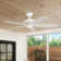McGavock 52'' Ceiling Fan