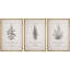 "Herb Botanical Artwork" of Basil, romarin, thym, art mural encadré sur toile, impression de 3 pièces-128129009-128129008