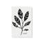 Ensemble de 4 toiles tendues noir et blanc Botanicals-113920562