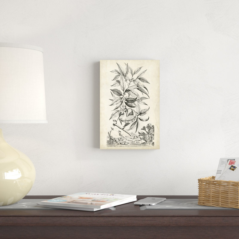 «Scenic Botanical IV», impression sur toile, H 12 po x l 8 po