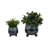 Ereka Stoneware and Ceramic Footed Round Planters with Triple Ball Base Design Set of 2-1852085792