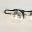 Eveline 2 Light Transparent Dimmable Vanity Light-863452997