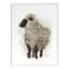 So Fluffy 3 Print by Ngo, PC-1479936422-1479936423