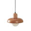 Lustre réglable en métal avec capuchon en bois, finition noire et chêne, abat-jour en verre de 10 po x 10 po | Hauteur: 9,4 à 59,1 pouces | 1 x douille G9 (10 W maximum) | Éclairage élégant pour la salle à manger, le salon et les entrées-1390606054-1390606048