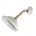 Polished Nickel