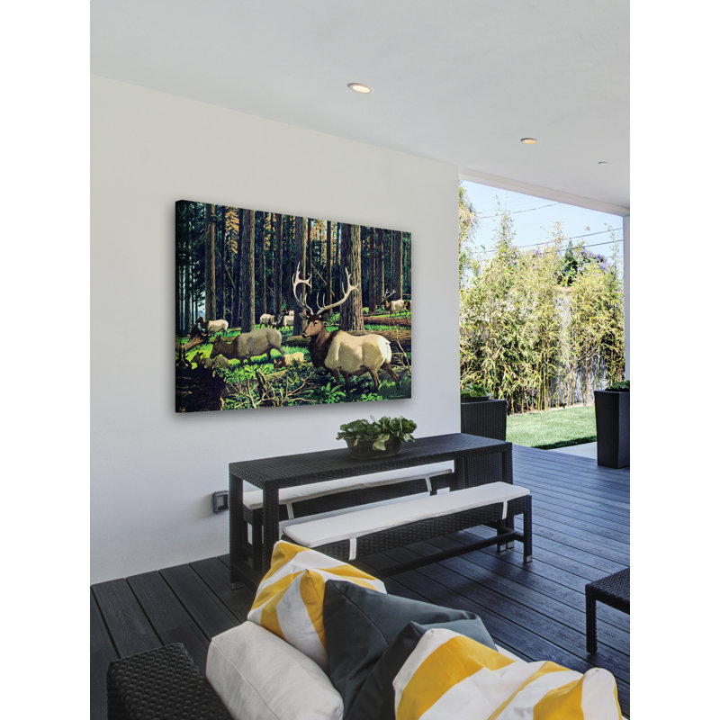 Wrapped Canvas Print, 101cm H x 152cm W x 3.81cm D