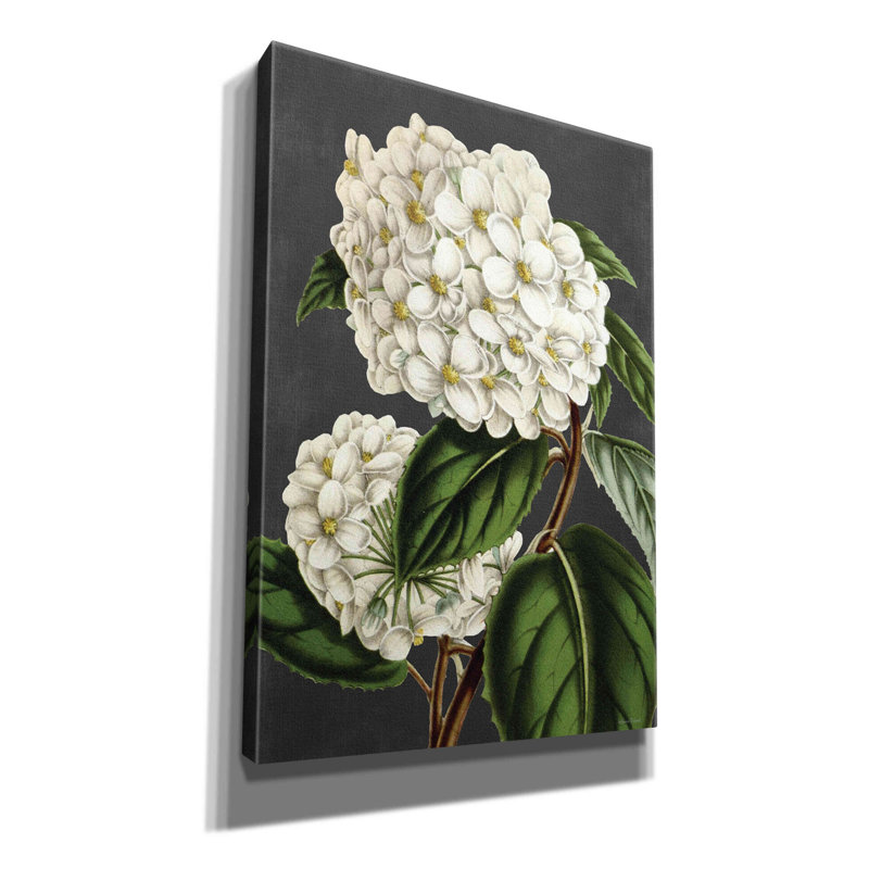 «Hydrangea» par - impression sur toile tendue, H 26 po x l 18 po x P 0,75 po