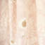 Emaline Embroidery Fabric-50801592