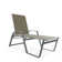 Holna Outdoor Rust-Resistant Metal Chaise Lounge