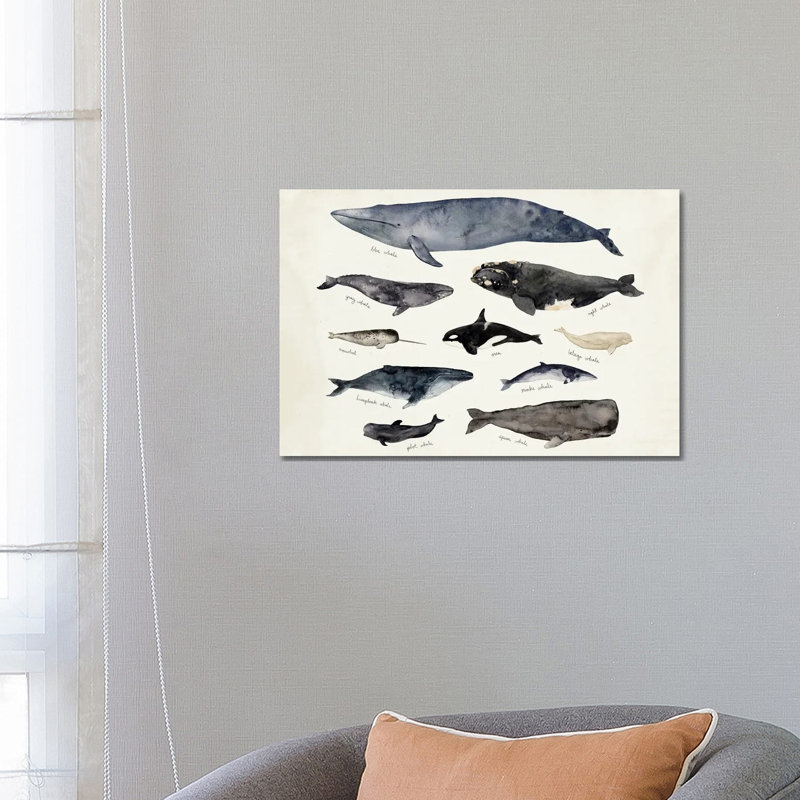 Whale Chart III by Victoria Barnes - Wrapped Canvas Painting, 66.04 cm H x 45.72 cm W x 1.91 cm D