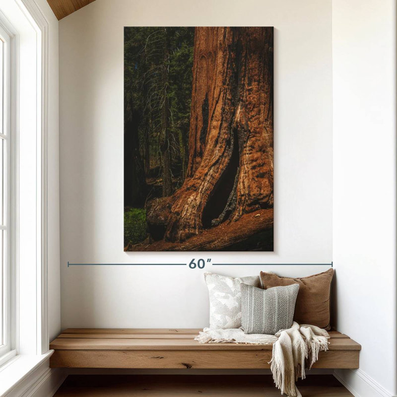 Harnek Sherman Trail Sequoia Trees, 51" H x 34" W