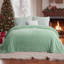 Couverture en flanelle brossée grand vert d'hiver-116843135-116843132