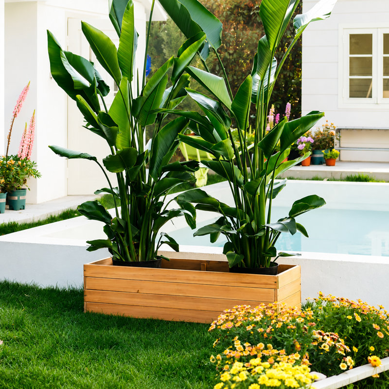 New Design Solid Wood Outdoor Planter Box, 12.6" H x 47.2" W x 15.7" D, Brown