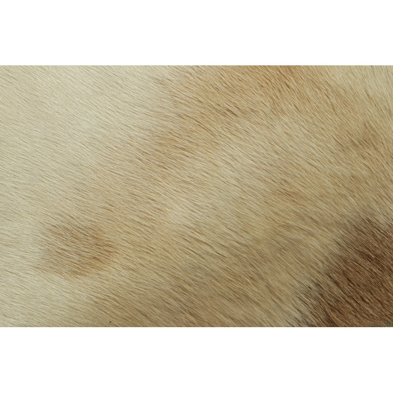 Rug & Kilim’S Extra Large Cowhide Rug In Beige, White And Cream Tones