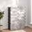 Shoe Storage Cabinet