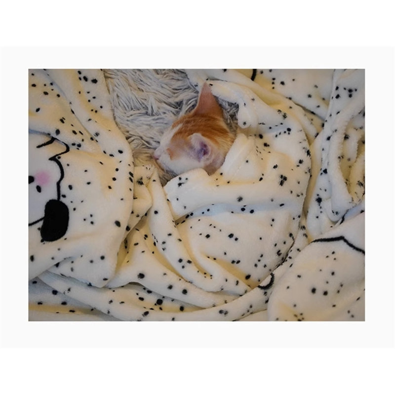 Couverture pour animaux