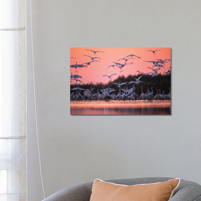 Morning Meeting 1 Piece Wrapped Canvas Wall Art