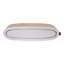 District70 2-in-1 Cat Scratcher Oval Office