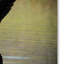 «Canadian Goose in Flight 1» de Vidur, reproduction de photo sur toile tendue-22074505