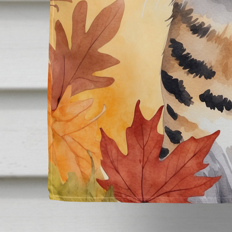 Chat en feuilles d'automne, Savannah
