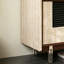 Armoire de rangement multifonctionnelle d'entrée de gamme-1800933579