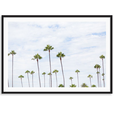 Montecito Palms Print by Carly Tabak