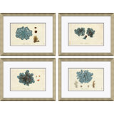 Blue Coral Giclee Print by Paul Cezanne