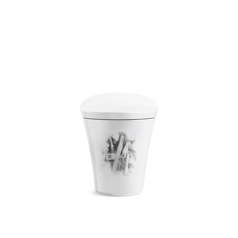 Landshapes By Daniel Arsham One-Piece Elongated Smart Toilet Dual-Flush