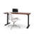 Adjustable Standing Desk-443380251-443380252