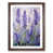Walnut Framed selected
