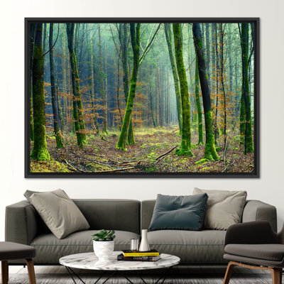 Print on Canvas