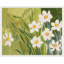 Fleur Blanche Print by Paule Marrot-62646861-62646850