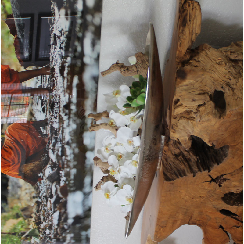 Denver Boat Orchids Floral Arrangement in Planter