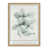 Brown Framed Paper is unavailable