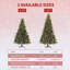 Christmas Tree-340958524